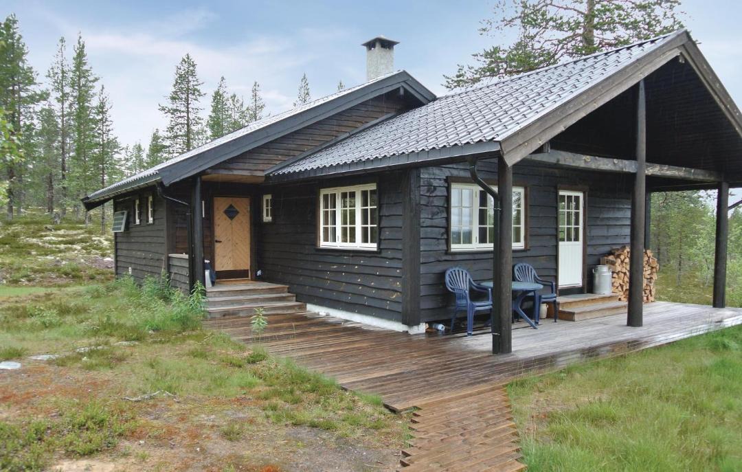 Photo of Others in Rendalen