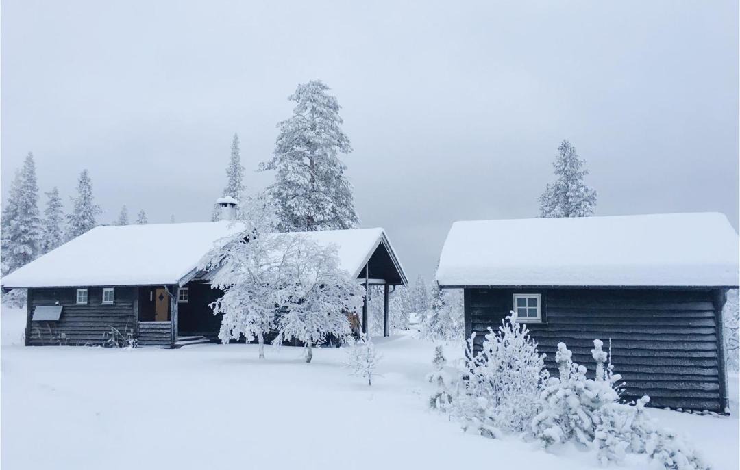 Photo of Others in Rendalen