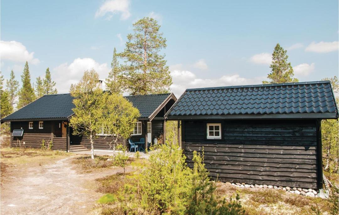 Photo of Others in Rendalen
