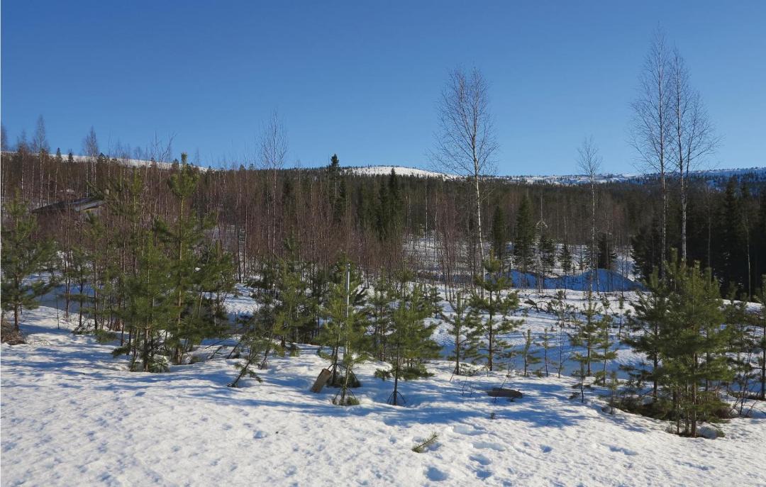 Photo of Others in Stoten