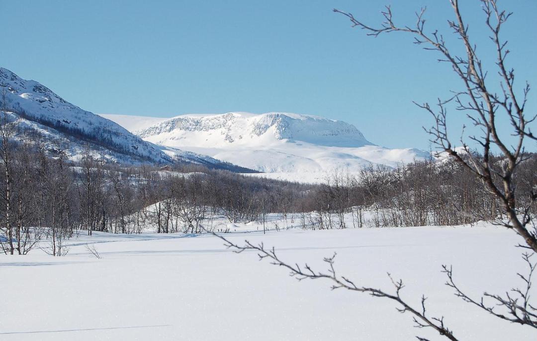 Photo of Outdoor in Hol