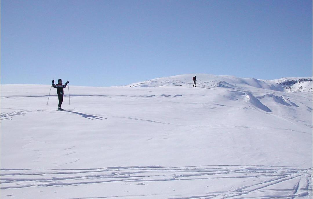 Photo of Others in Hol