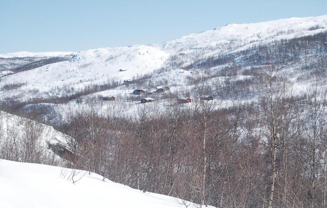 Photo of Outdoor in Hol