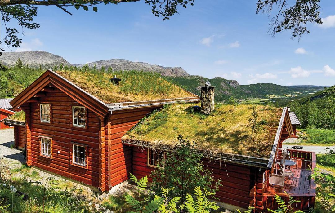 Photo of Others in Hemsedal