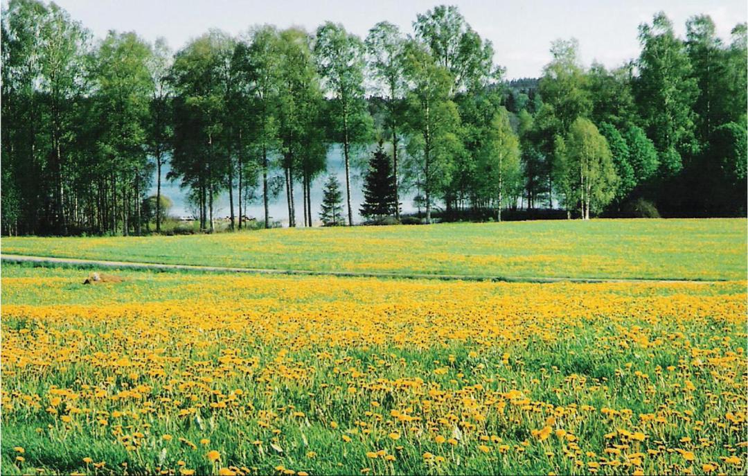 Photo of Outdoor in Marieholmsbruk
