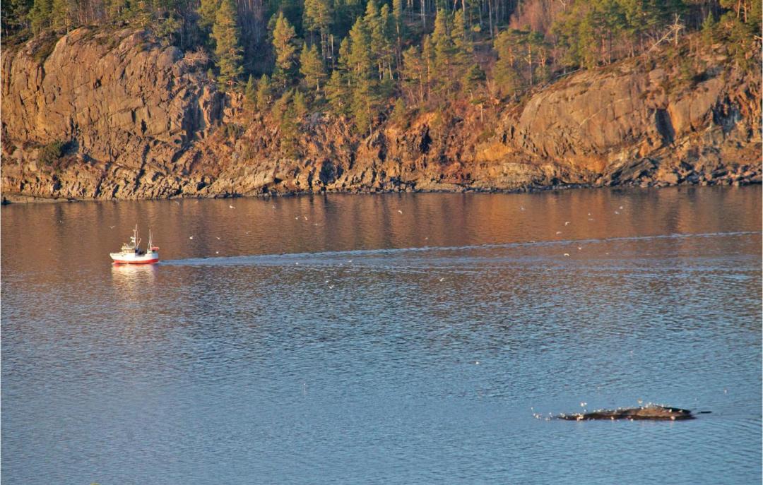 Photo of Others in Kvisvik