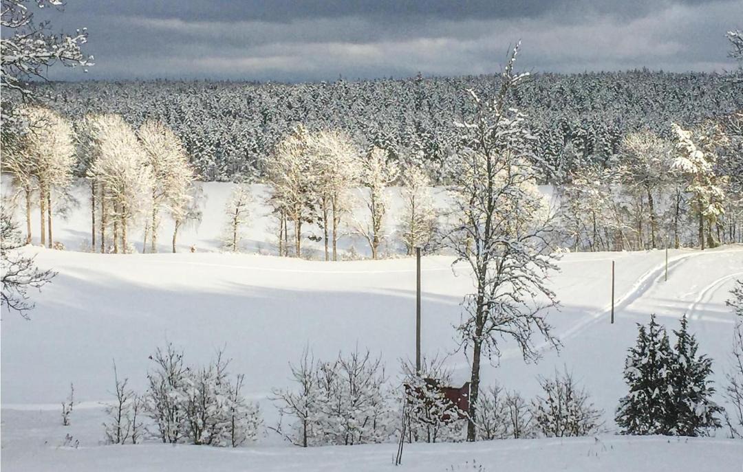 Photo of Others in Mullsjo