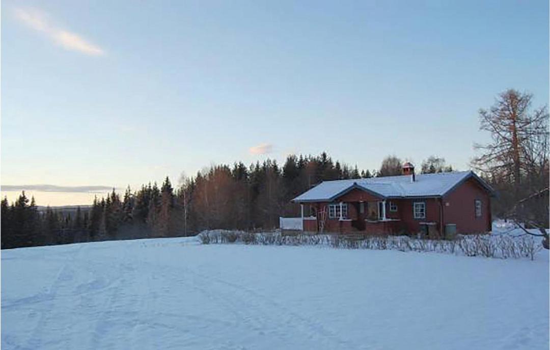 Photo of Others in Alvdalen