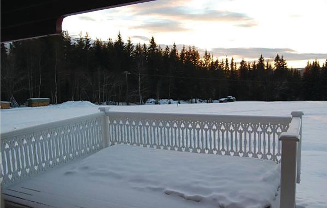 Photo of Others in Alvdalen