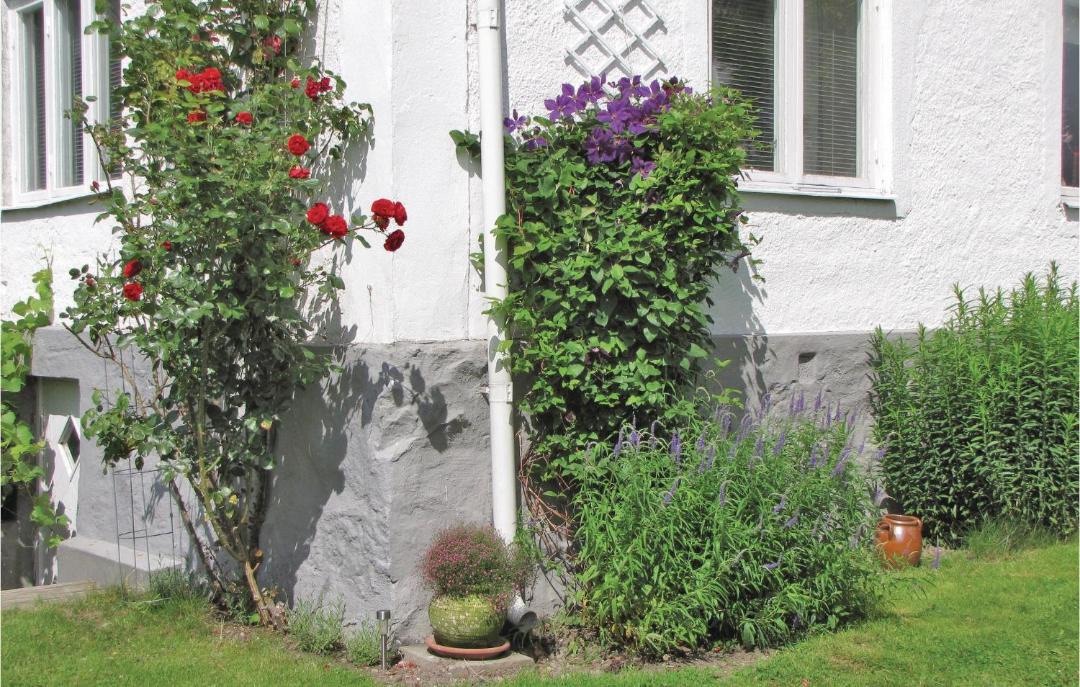 Photo of Others in Ystad
