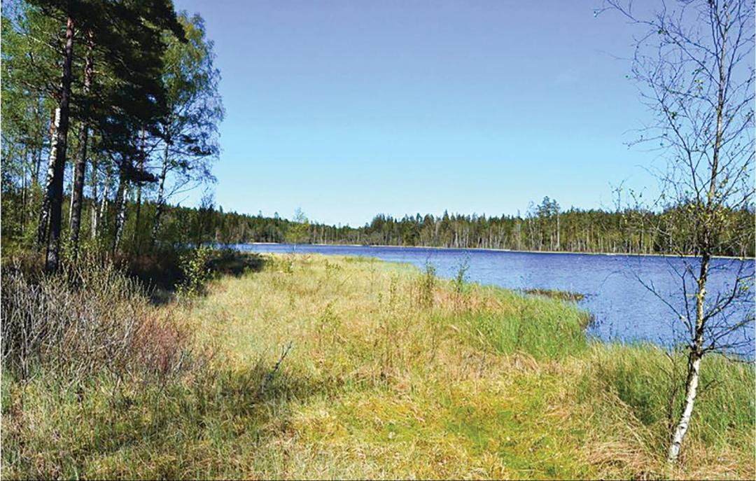 Photo of Others in Broaryd