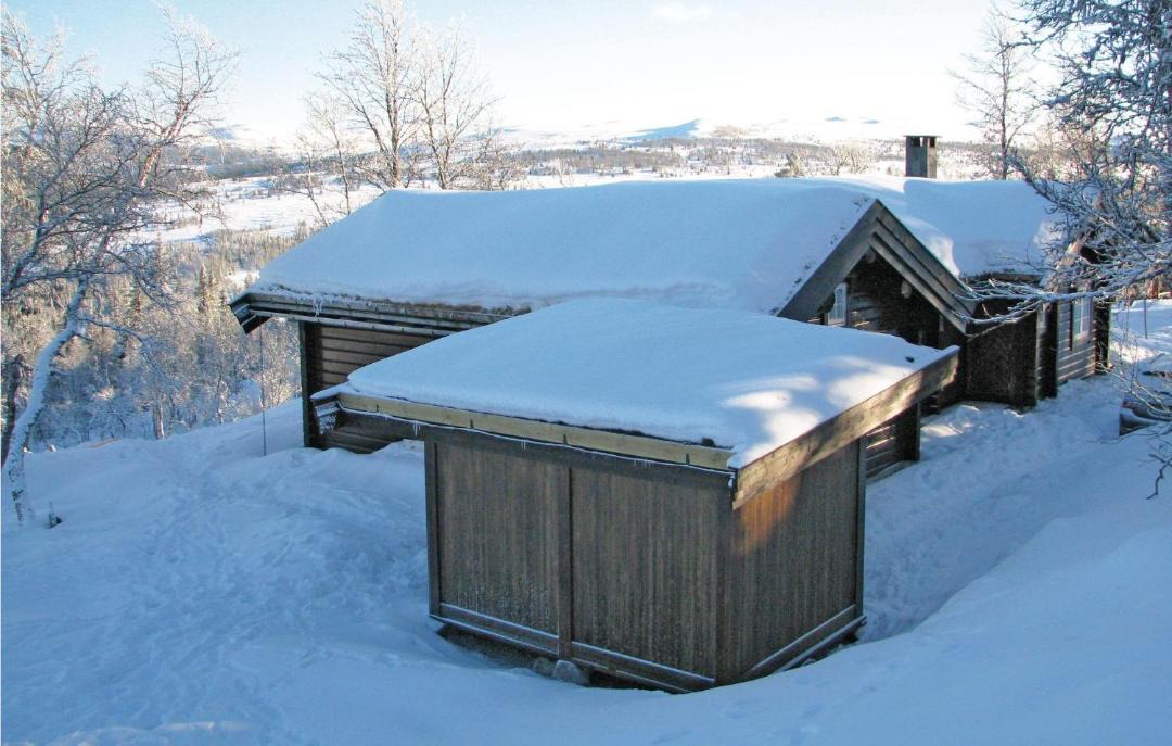 Photo of Others in Vikberget