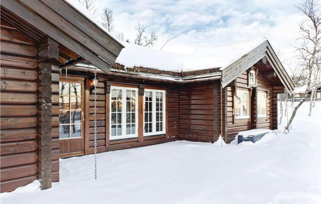Photo of Others in Vikberget