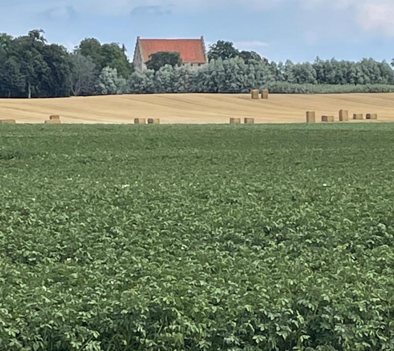 Photo of Others in Hammenhog