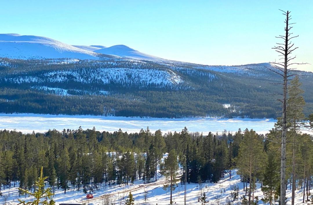 Photo of Others in Lofsdalen