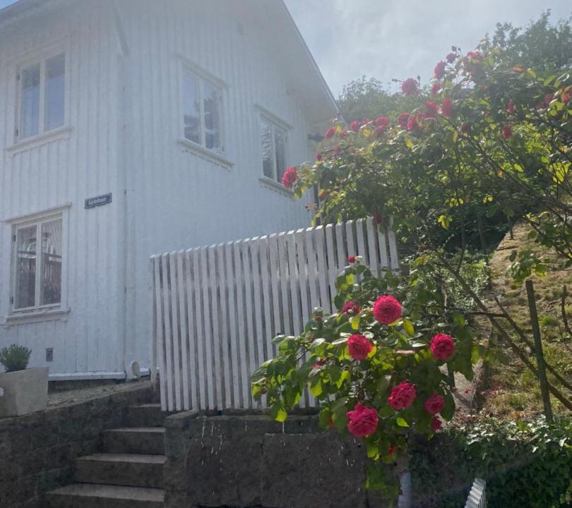 Photo of Others in Lysekil