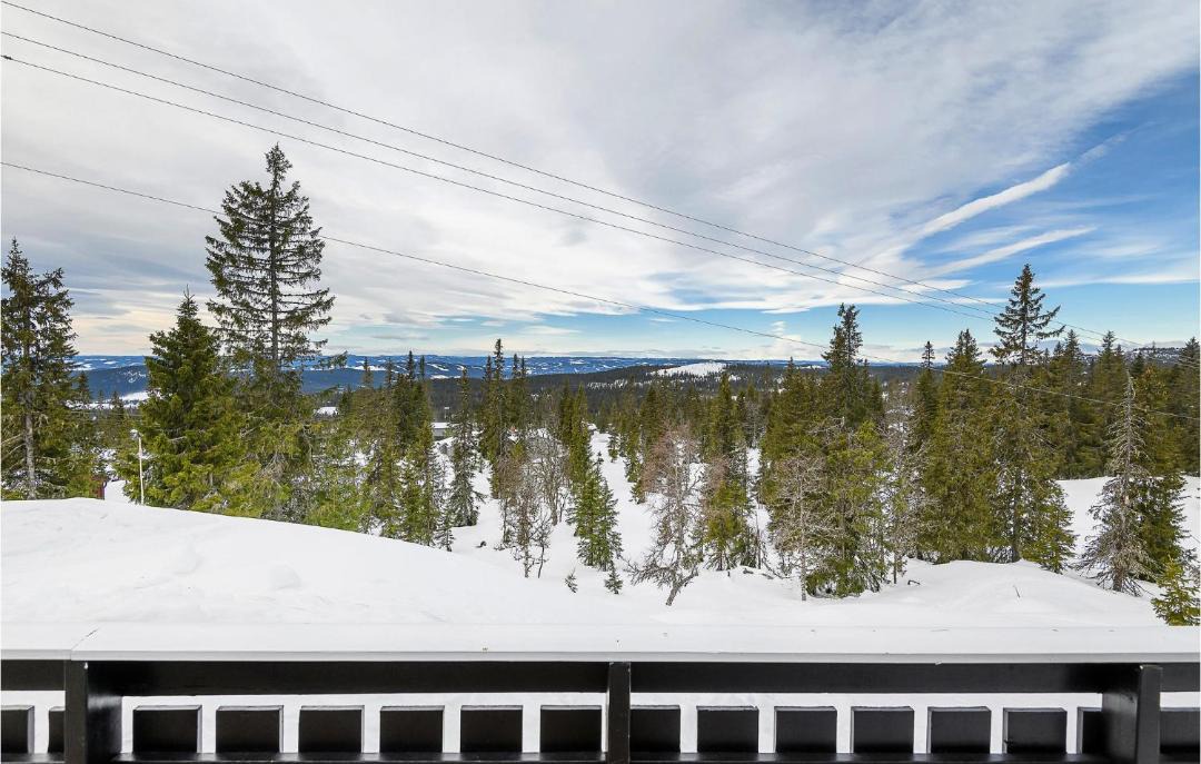 Photo of Others in Sjusjoen