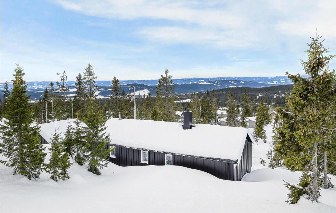 Photo of Others in Sjusjoen
