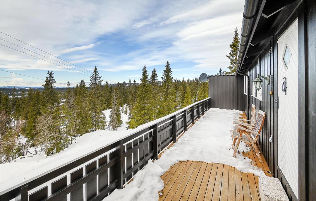 Photo of Others in Sjusjoen
