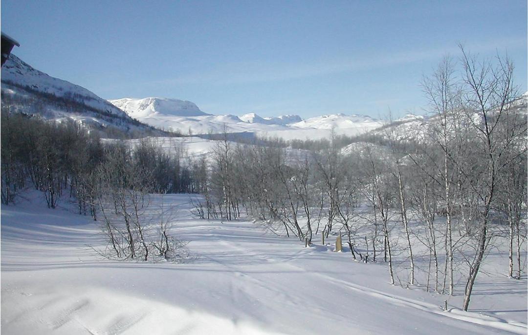 Photo of Outdoor in Hol