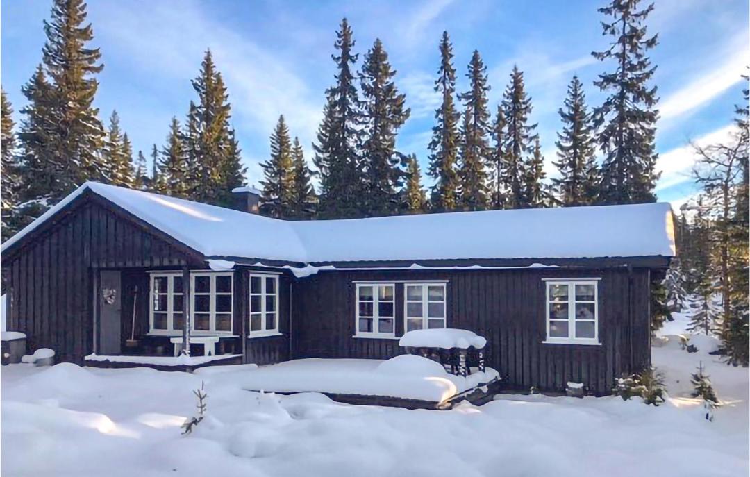 Photo of Others in Sjusjoen
