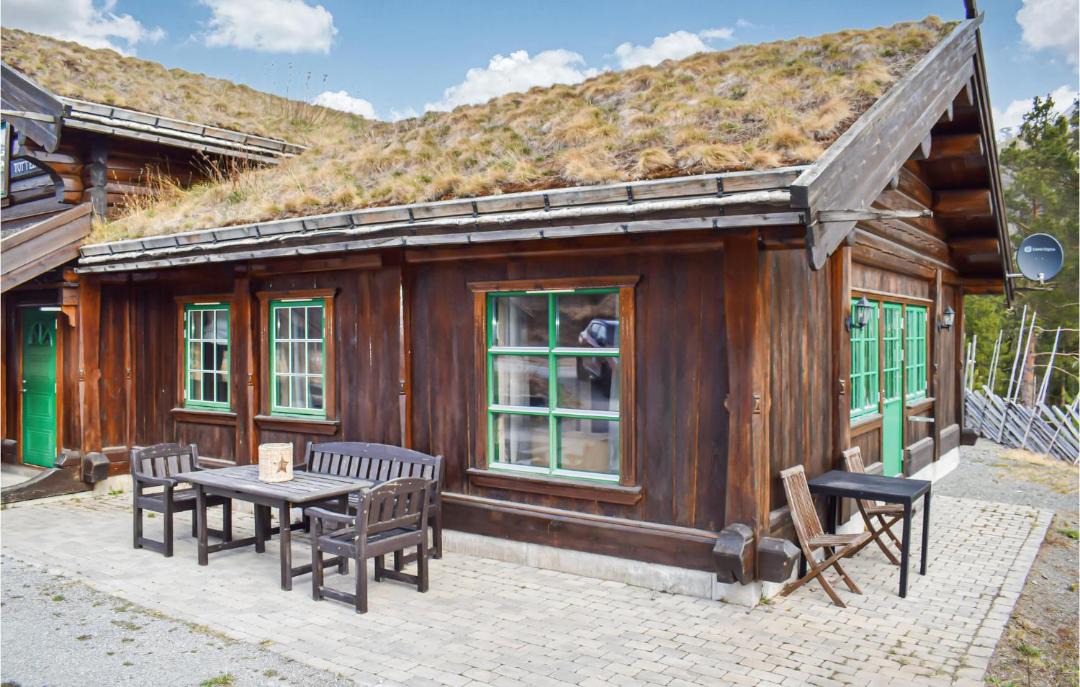 Photo of Others in Hemsedal