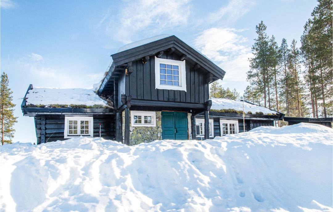 Photo of Others in Trysil