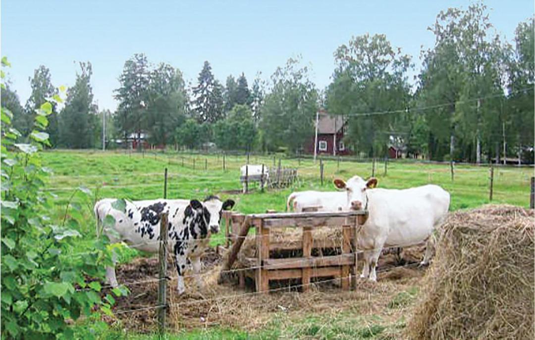 Photo of Others in Hagfors Municipality