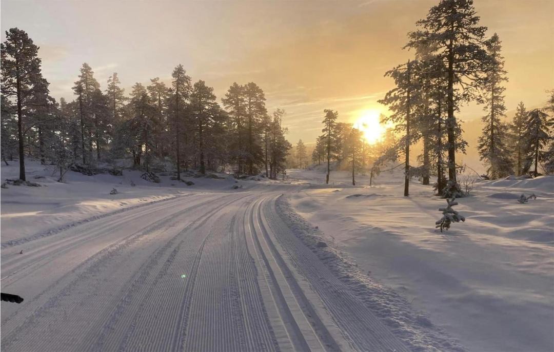 Photo of Others in Ringerike Municipality