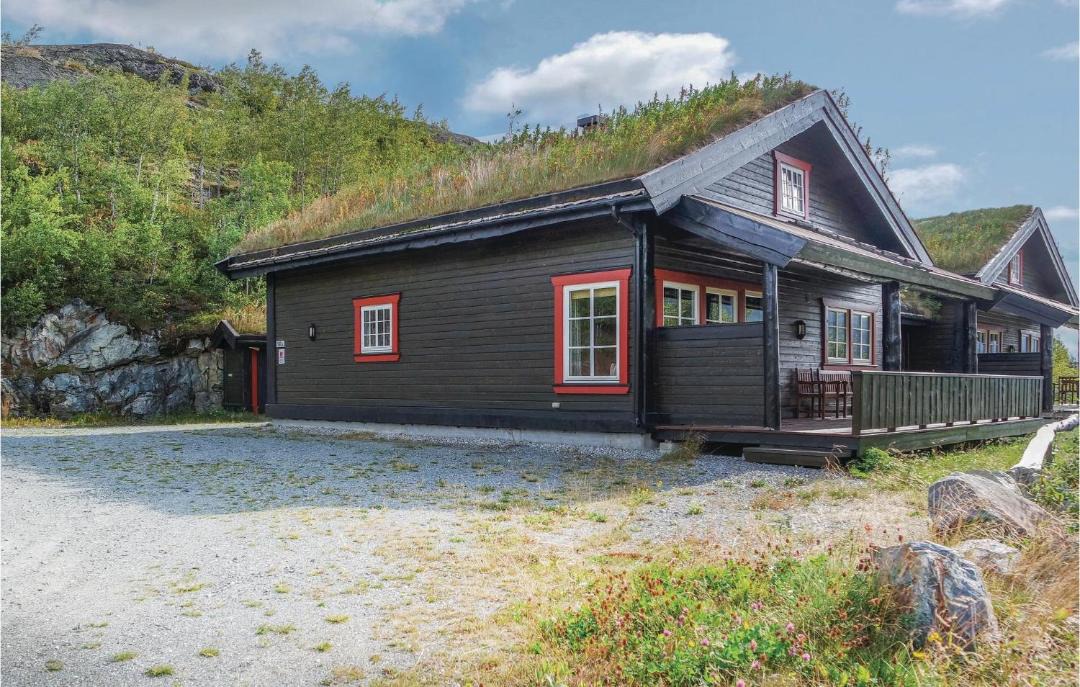 Photo of Others in Hemsedal