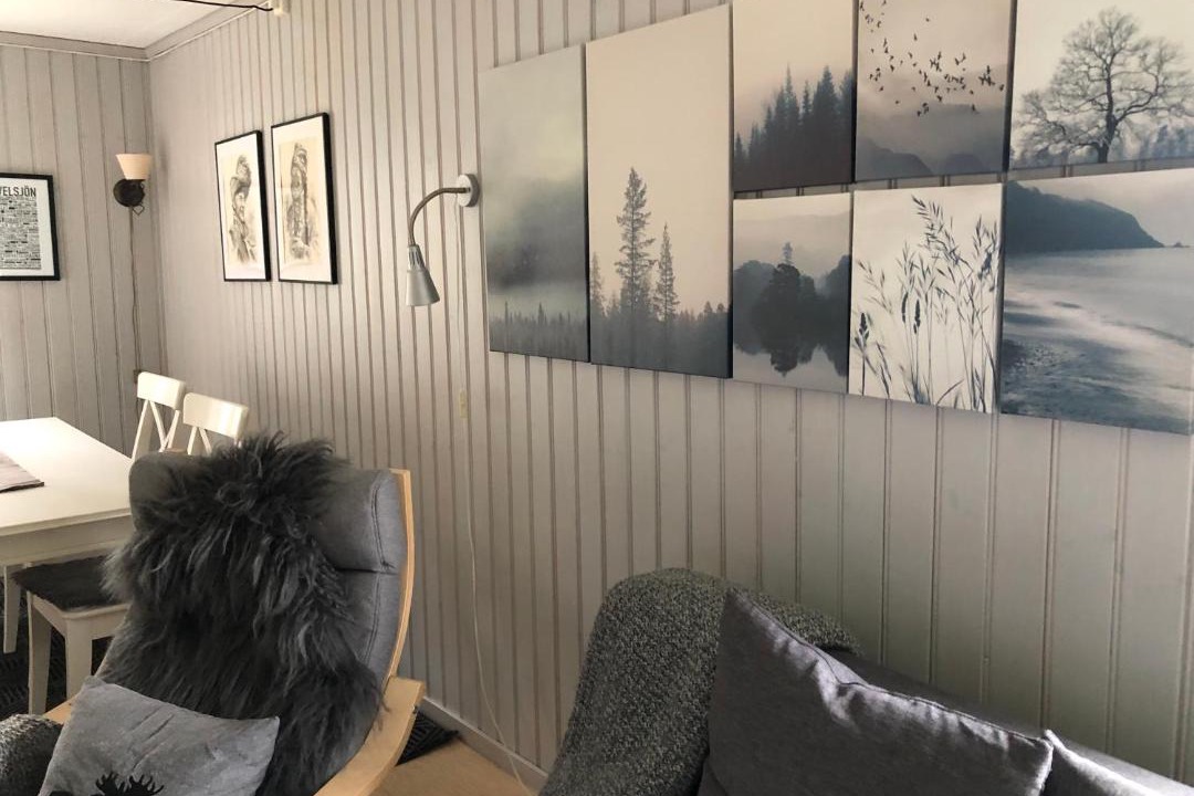 Photo of Livingroom in Grovelsjon