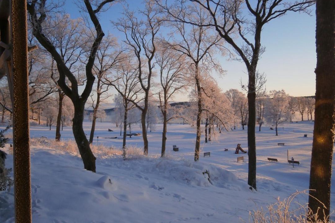 Photo of Others in Vanersborg