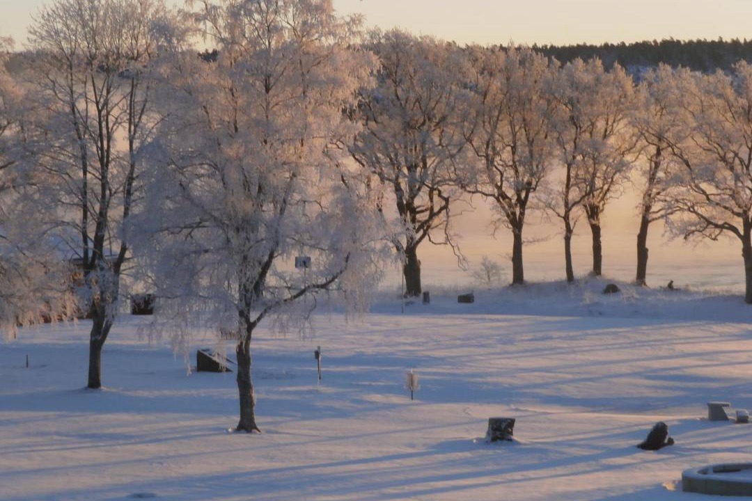 Photo of Others in Vanersborg