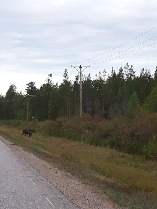 Photo of Others in Hedenaset