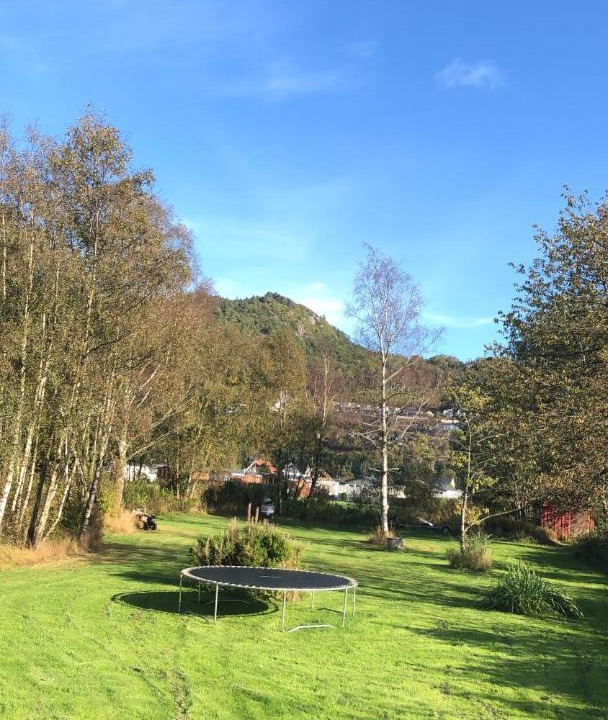 Photo of Others in Lyngdal