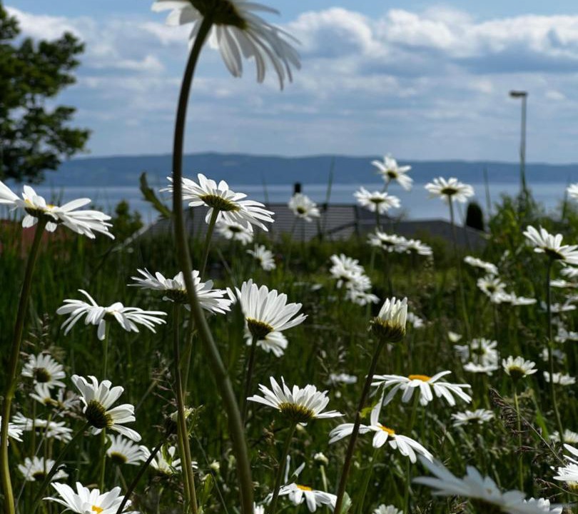 Photo of Outdoor in Habo