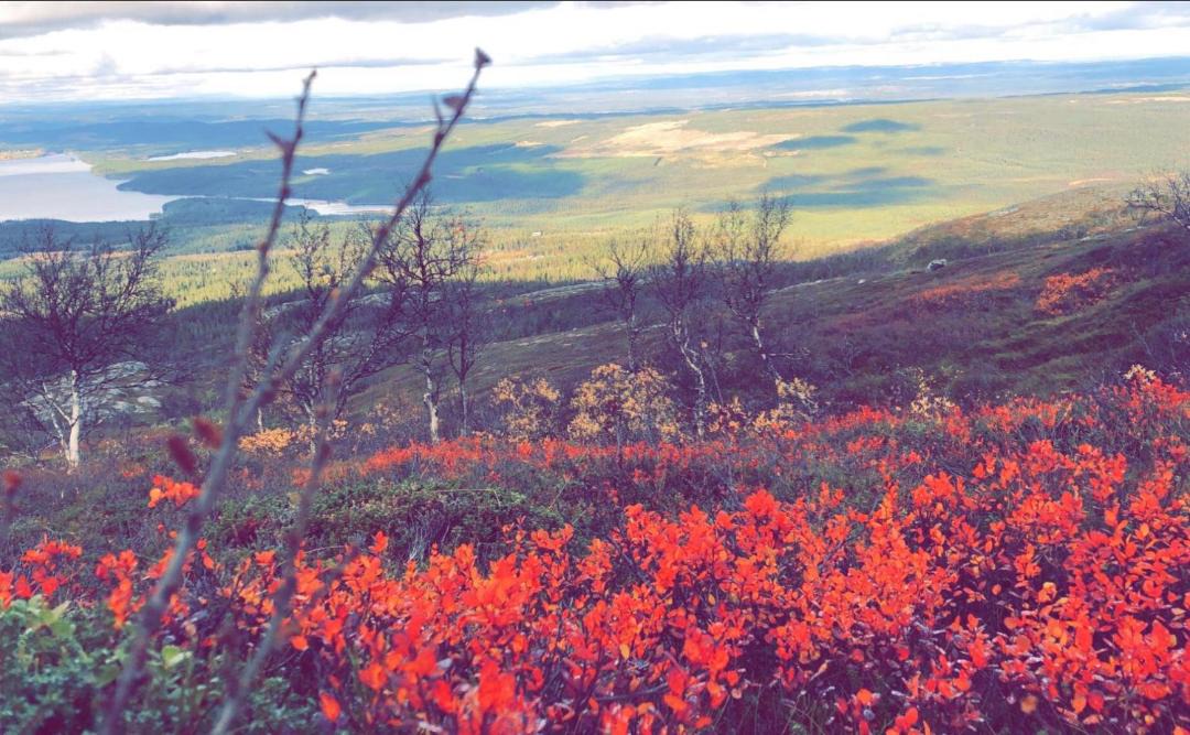 Photo of Outdoor in Ankarvattnet