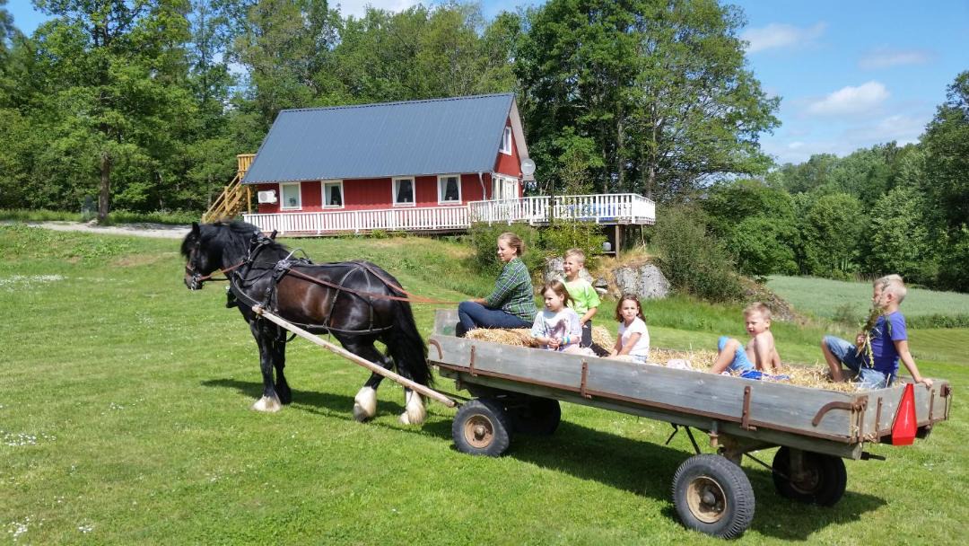 Photo of Others in Olofstrom