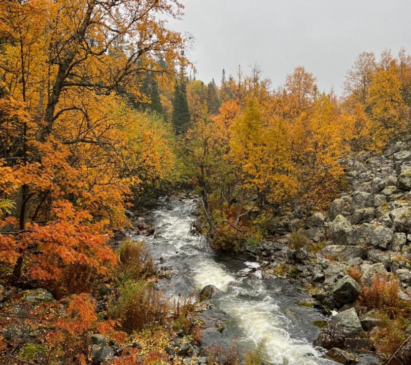 Photo of Outdoor in Idre
