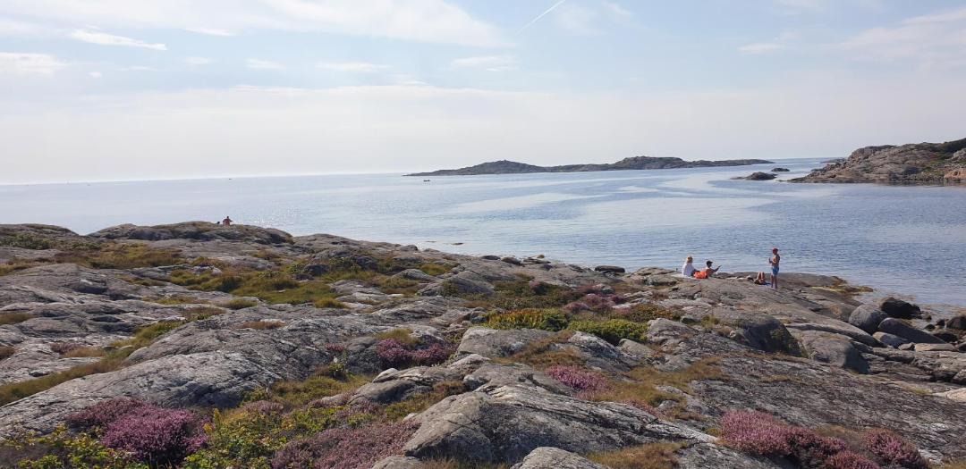 Photo of Others in Kungsbacka Municipality
