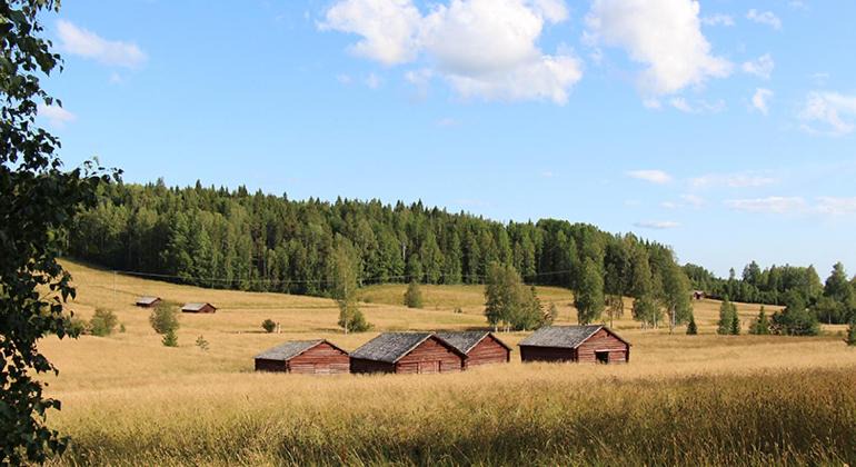 Photo of Others in Sjulsmark