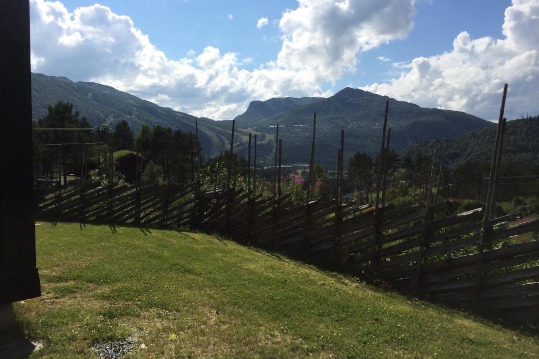 Photo of Others in Hemsedal