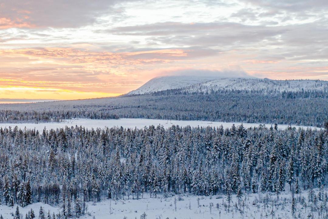 Photo of Others in Kittila