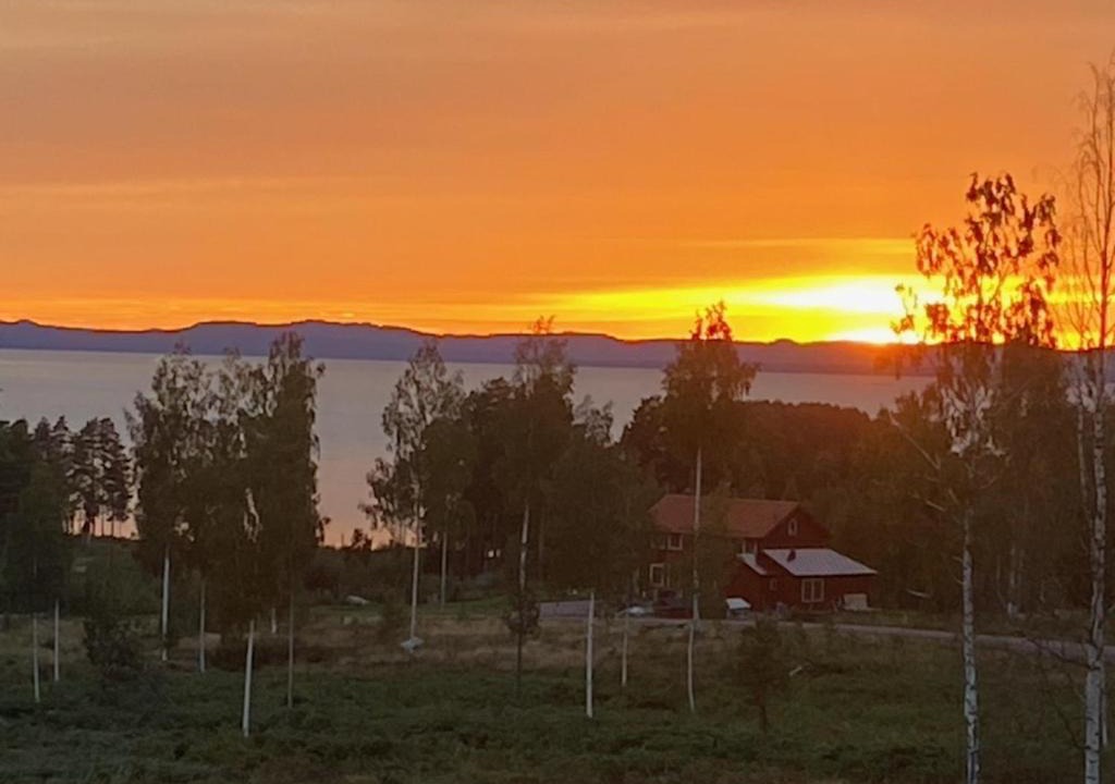 Photo of Others in Tallberg