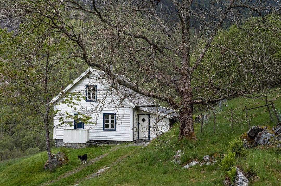 Photo of Others in Ardal i Ryfylke