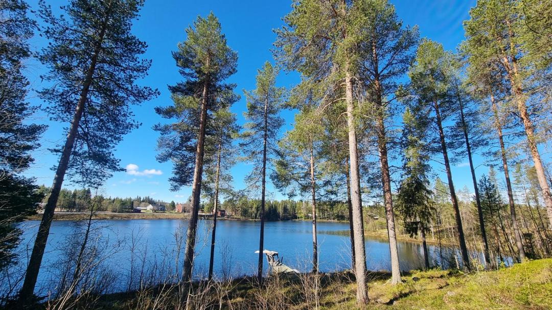Photo of Outdoor in Auktsjaur