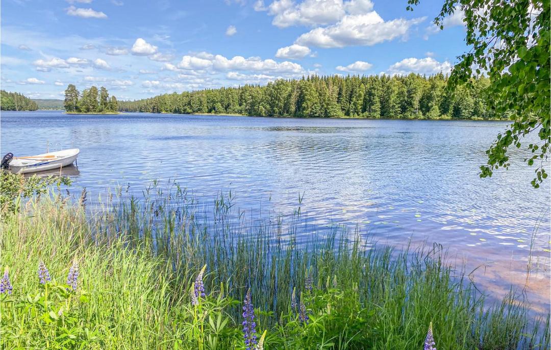 Photo of Others in Ludvika