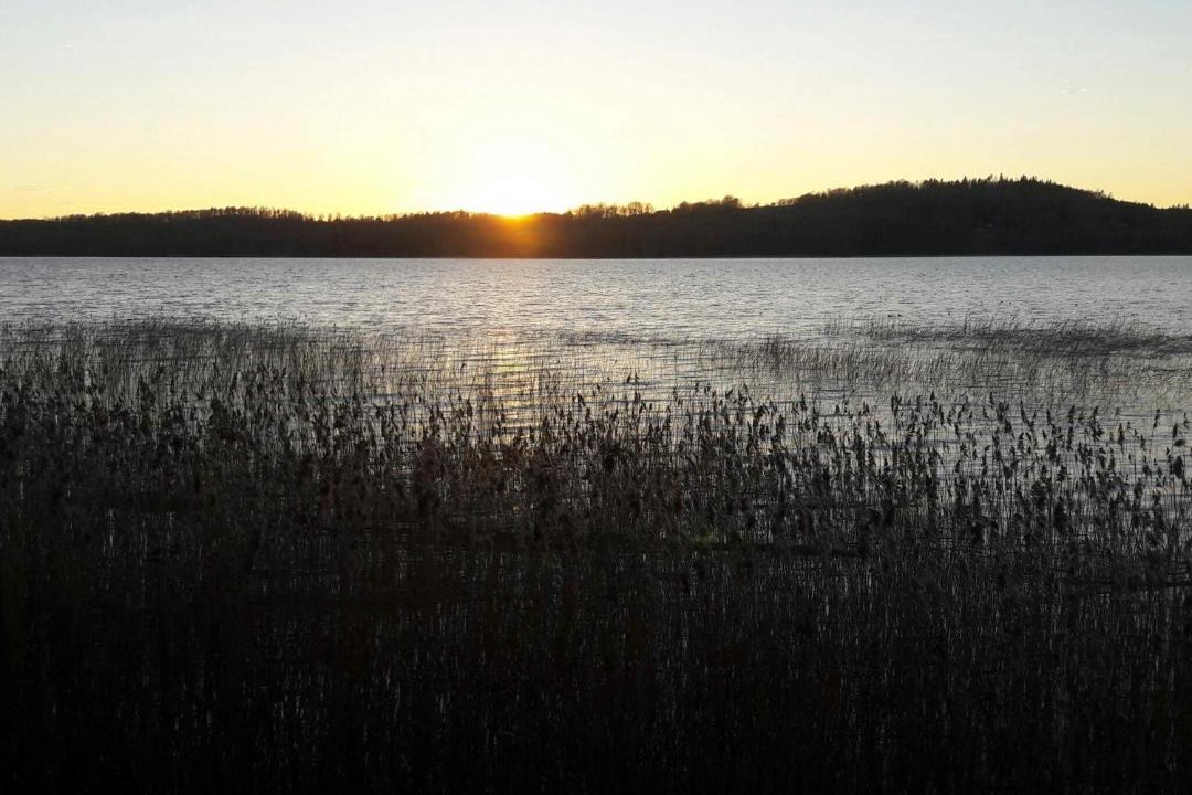 Photo of Others in Everod