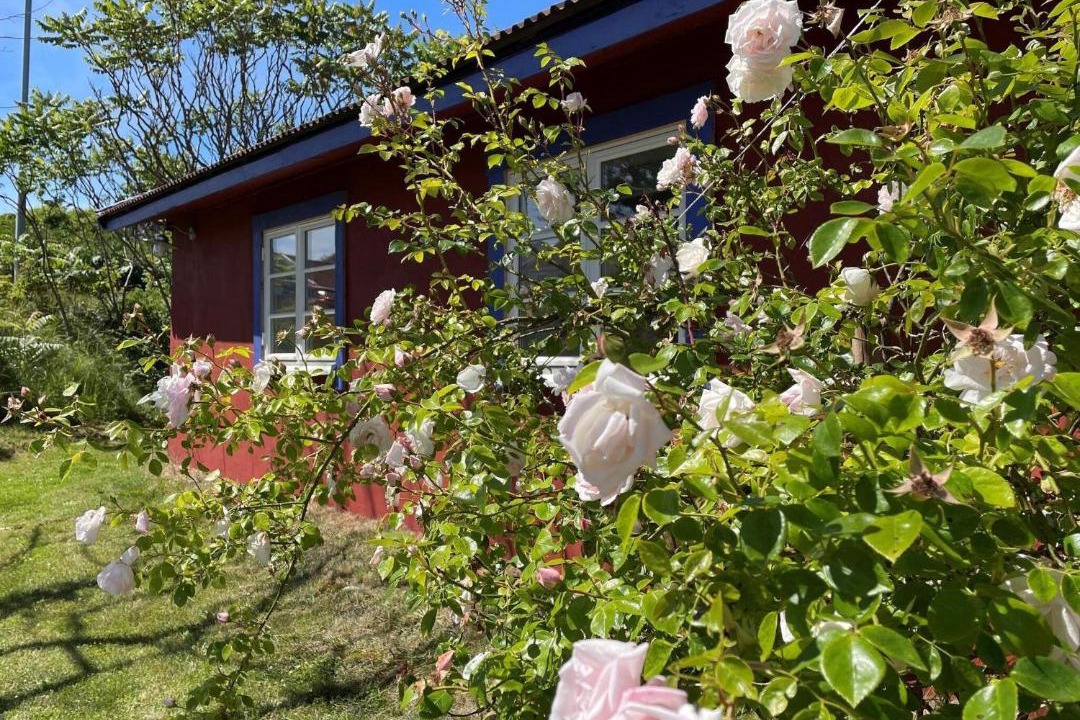 Photo of Others in Skaerhamn
