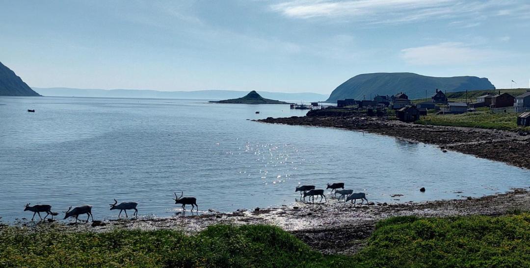 Photo of Others in Nordkapp